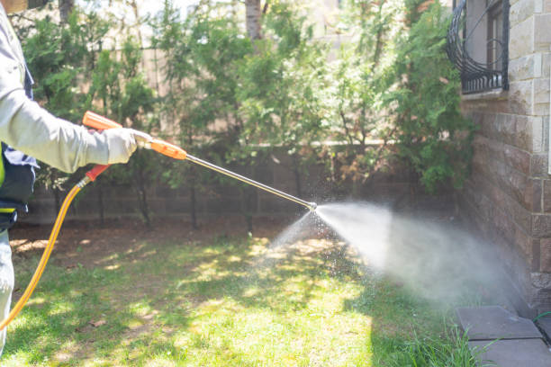 Lawn Pest Control in Orting, WA